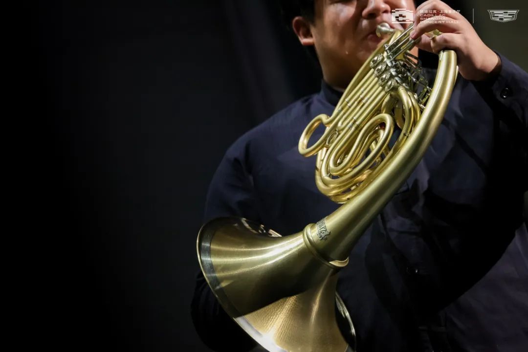 【@现场】圆号爱好者"天堂",曾韵奏响"旅人的号角"