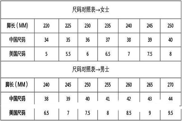 中国标准鞋码对照表240图片