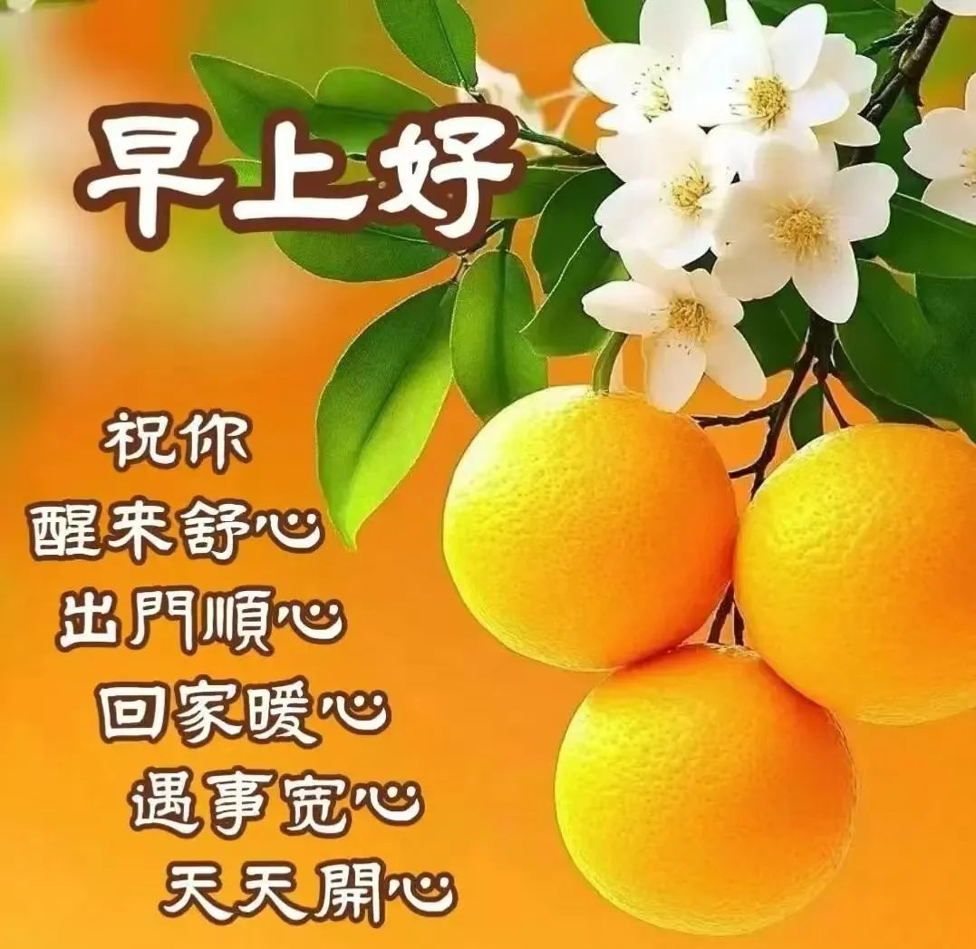 多款冬天早上好祝福语动态表情包图片带字,温馨关怀传递早安问候