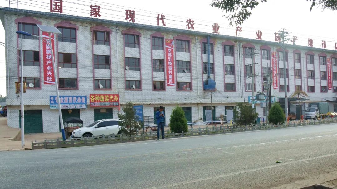 临洮县新添镇崖湾村:小村蔬菜产业的"蝶变"故事