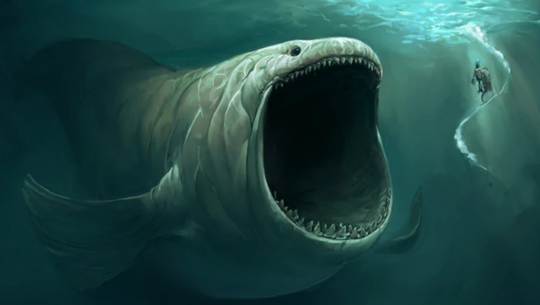 90年代太平洋海底传来怪声,科学家推测是"海怪",究竟是什么?