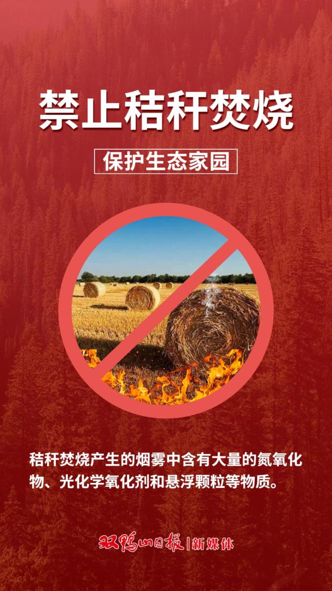 【海报】禁止秸秆焚烧 保护生态家园