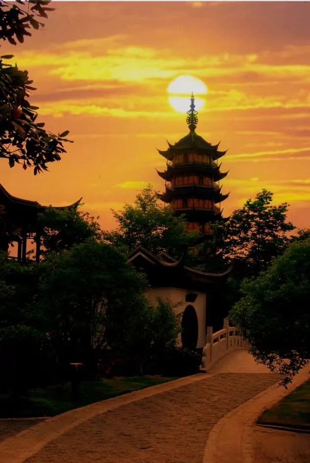 常州人的红梅情结