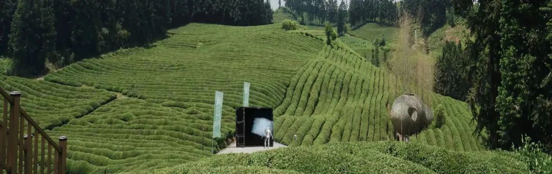 国美发布：全球首所元宇宙艺术学院 MAA