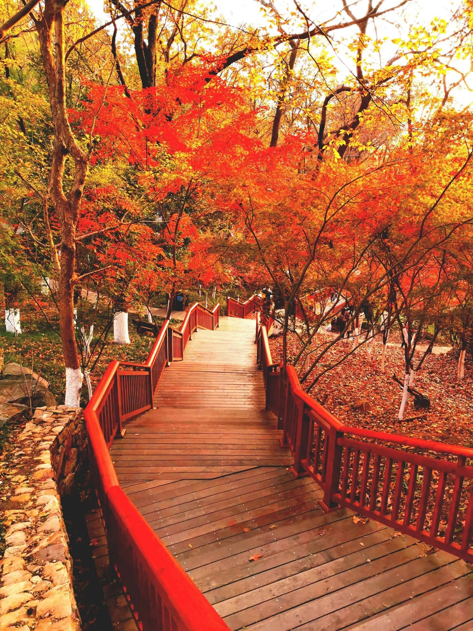 栖霞山风景区照片图片