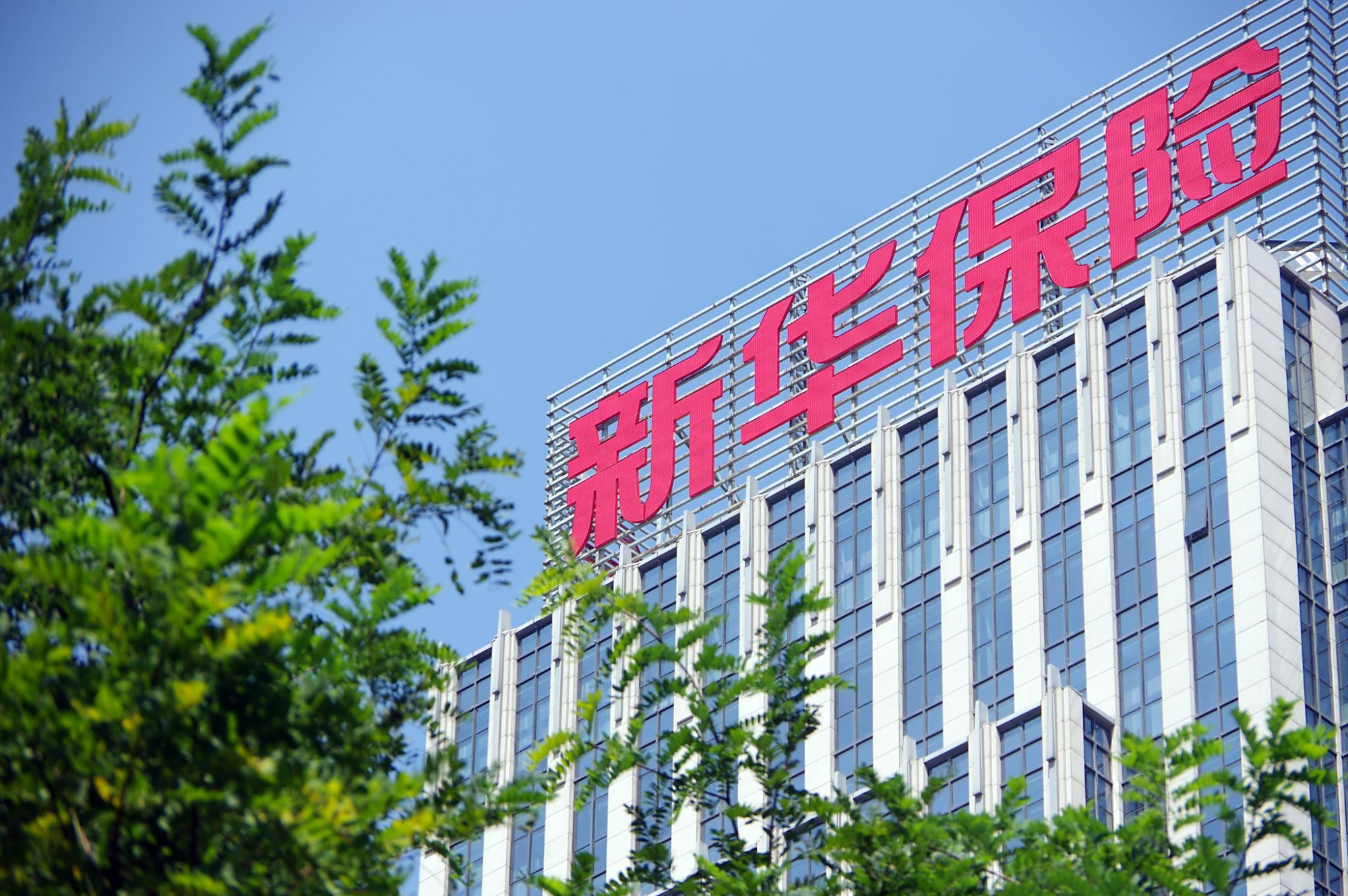 新华保险续期保费占比降至70.82% 股票投资提升53%