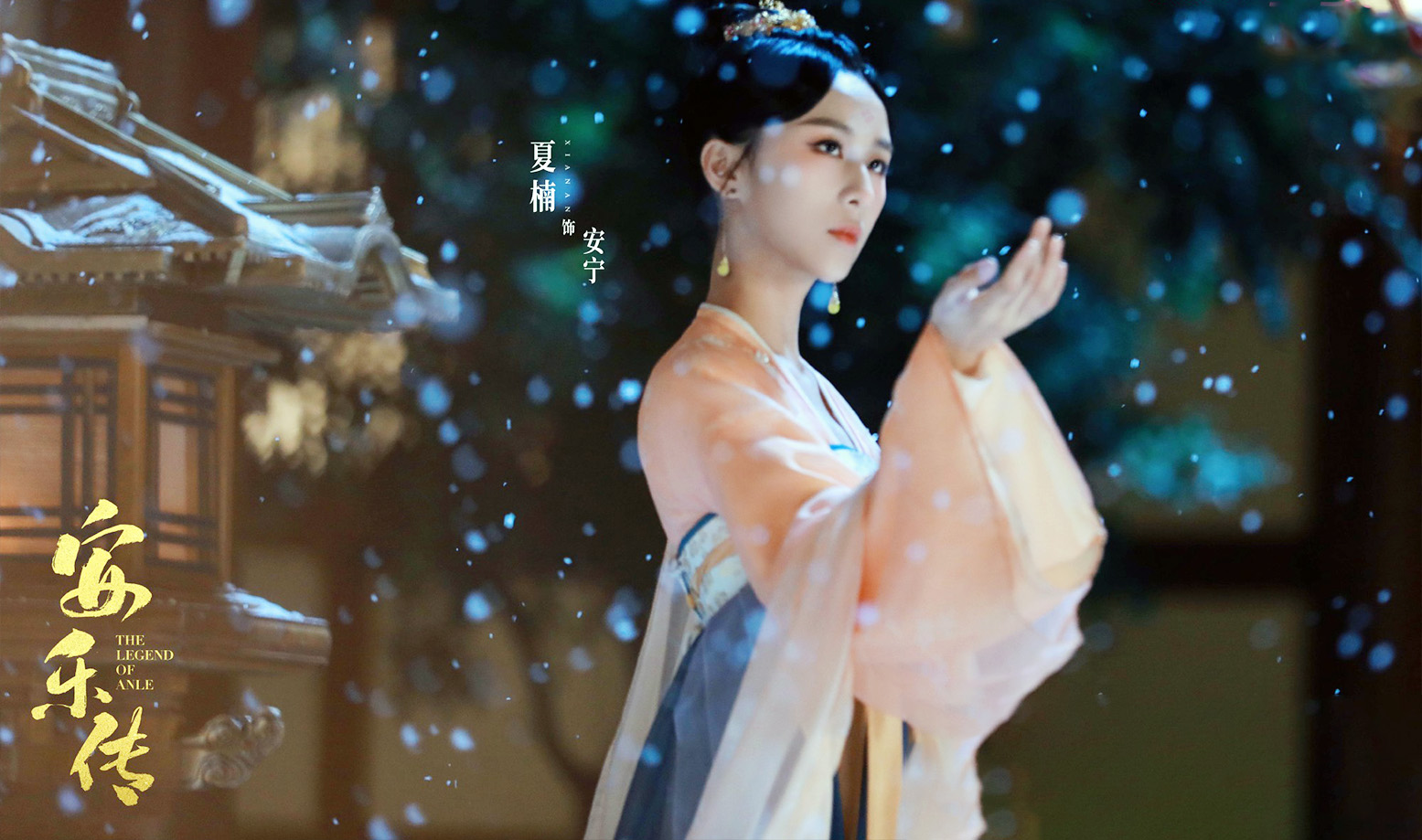 《安乐传》:安宁公主,坚韧与牺牲的华丽征程