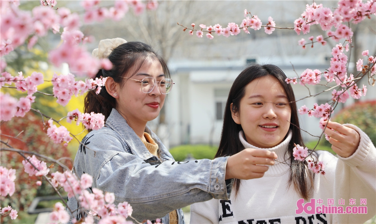 山东平阴出名的女子图片