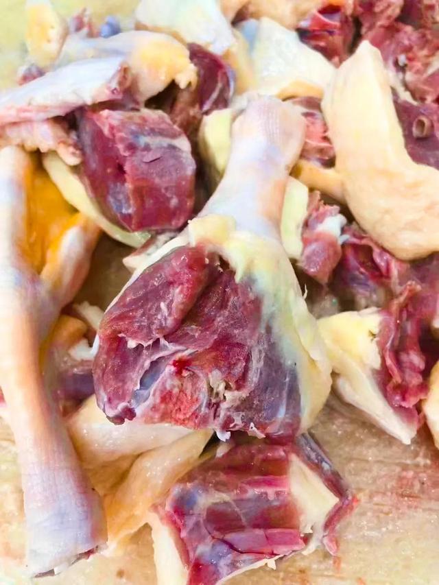 北雁南飞 想吃天鹅肉的朋友有口福啦 雁鹅煲 天鹅宴