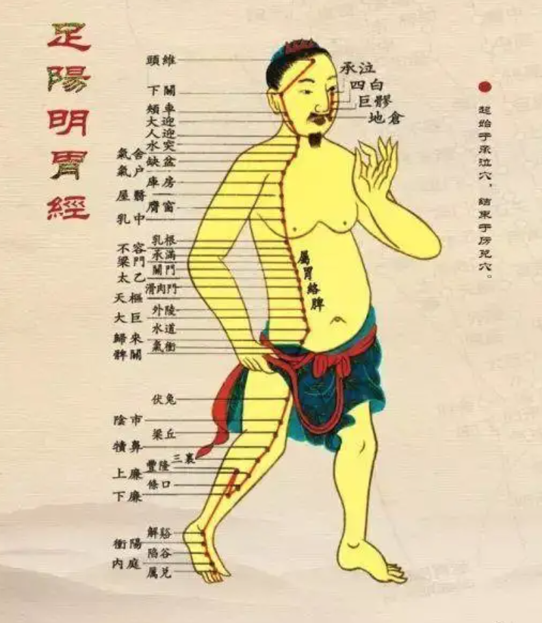 金刚跪,核心六要素!方法要领大揭秘!