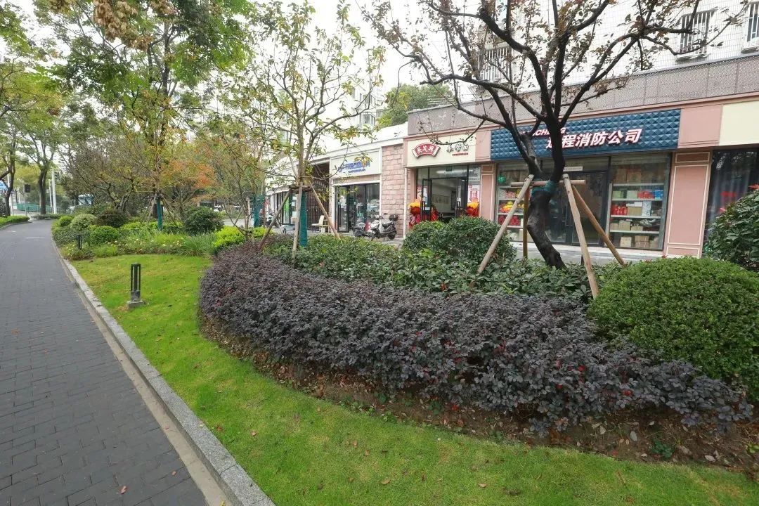 广中北宝兴路街区完成改造展新颜～变身生活"舒适圈"