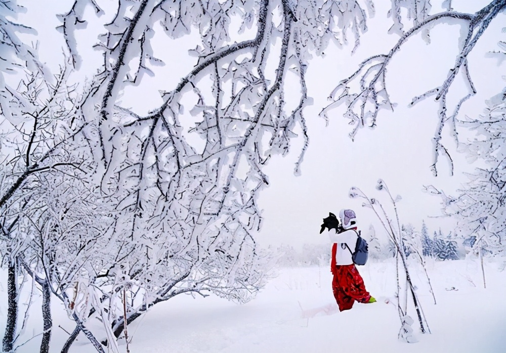 风雪配欣赏图片