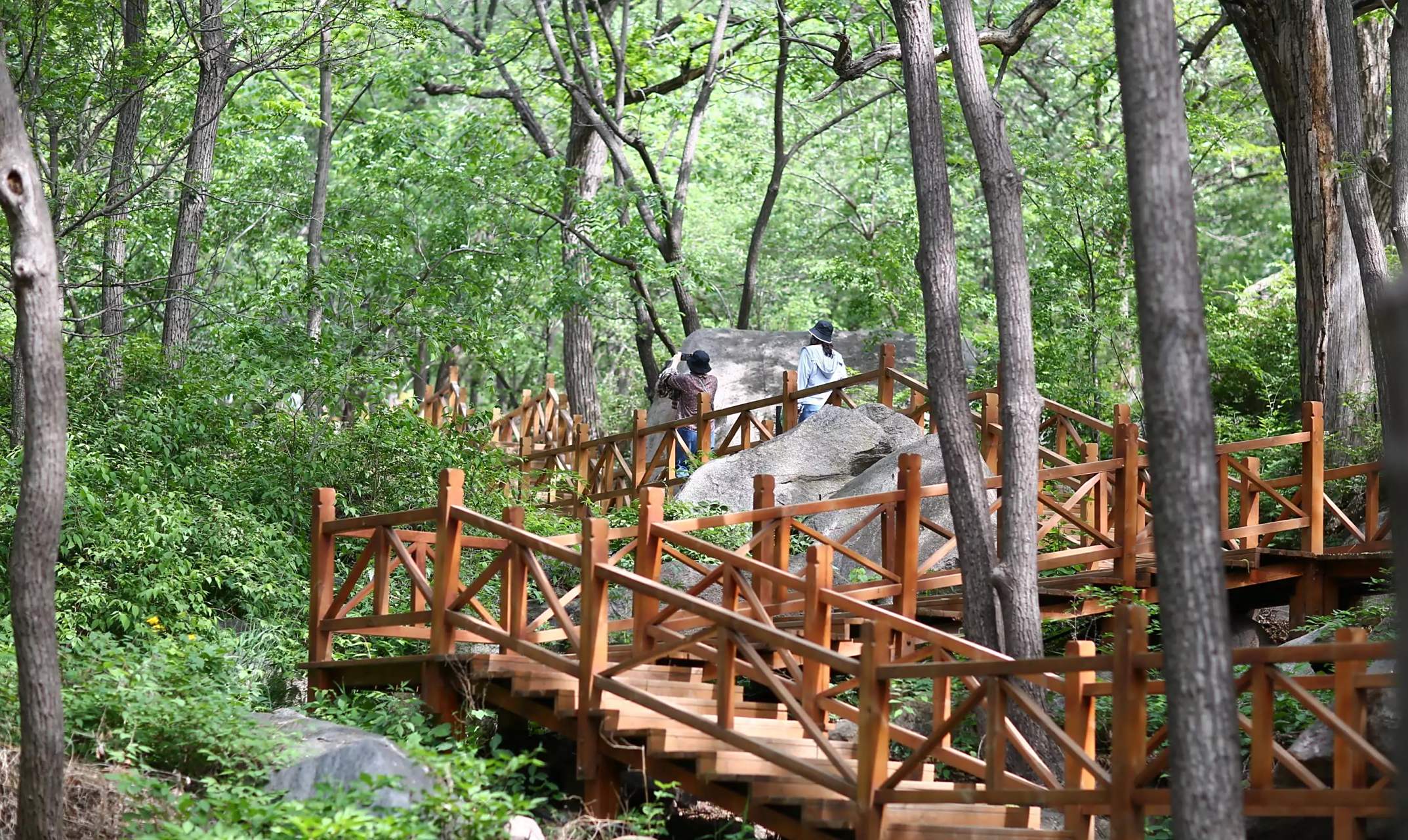 北京小众秘境,昌平大岭沟猕猴桃谷风景区,风景很惊艳 周末北京的蓝天