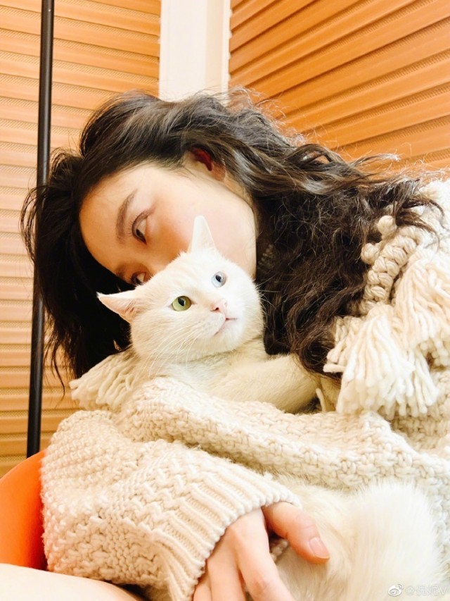 倪妮分享与猫咪日常 怀抱猫咪眼神温柔