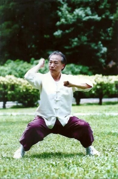 刘云樵弟子徐纪谈八极拳