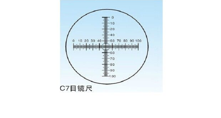 40倍显微镜标尺应该多少