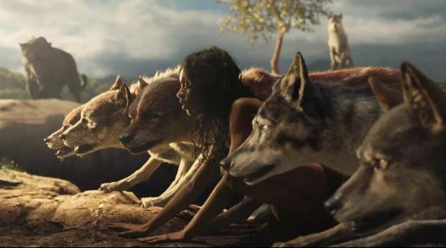 中国偏远地区的狼孩现象