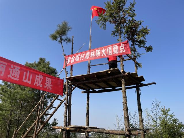 通山通羊镇:绷紧森林防火"安全弦"