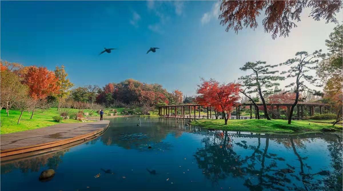 美丽江苏·每日一景丨扬州:山明水净夜来霜 数树深红出浅黄