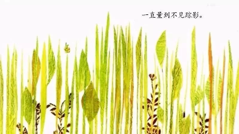 婷媽薦書|繪本《一寸蟲》:一個有關測量和生存的故事