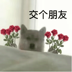 隰县妇联青年交友联谊活动报名开始了!