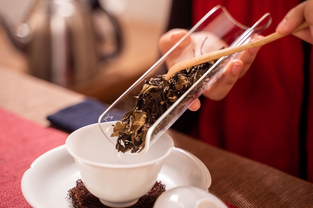 茶界大咖云集的太原茶博会,带你领略茶艺的魅力