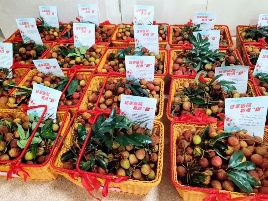流口水!坐拥204棵荔枝树,东莞这家医院丰收了!
