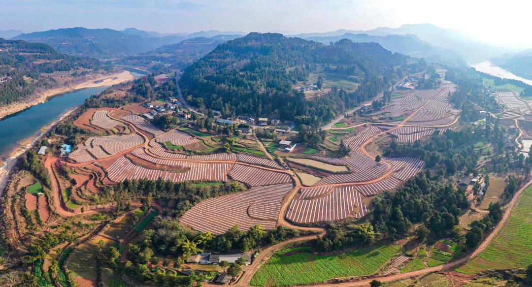 【媒体聚焦通江】一周快览