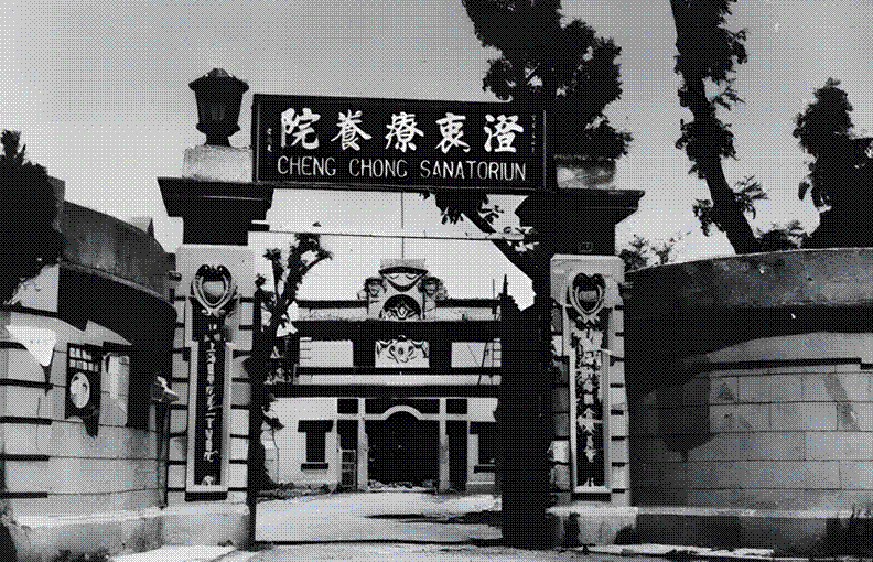 如此城市上海公园像生态聚落人群如鸟如蟹规律作息各异