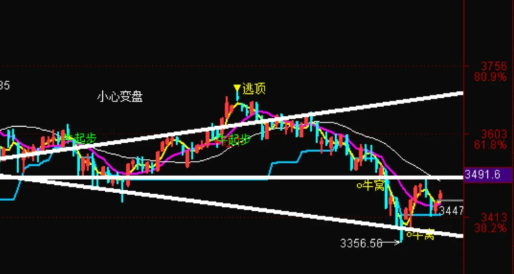 什么叫股票核按钮