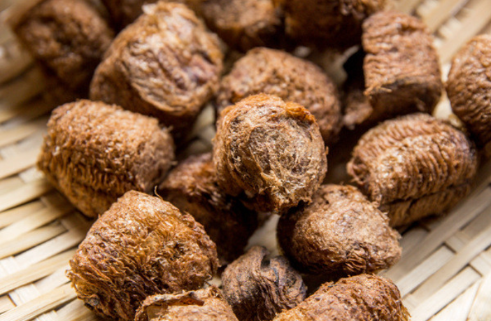 "桑螵蛸"是什么东西?它有什么作用?