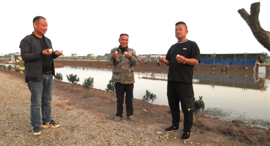 湖南省南县华阁镇:"新农人"移位"掌锅",千亩"水眼"变"银窝"