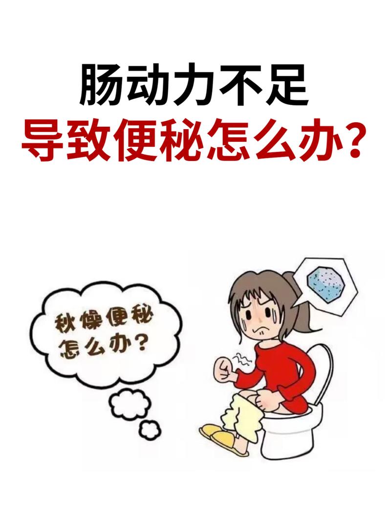 成人肠动力不足,一定不要掉以轻心!小毛病背后隐藏的健康风险