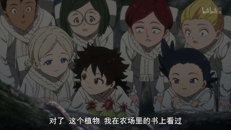 如何评价约定的梦幻岛第二季?从圈养到散养?留下线索的密内瓦到底是不是好人?如果逃离孤儿院这事幕后真是个更大的骗局会怎样?