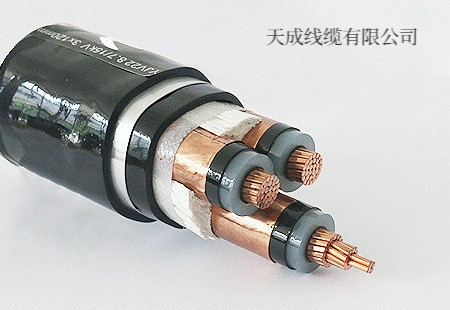 天成线缆为你讲解电缆安装敷设应注意哪些事项