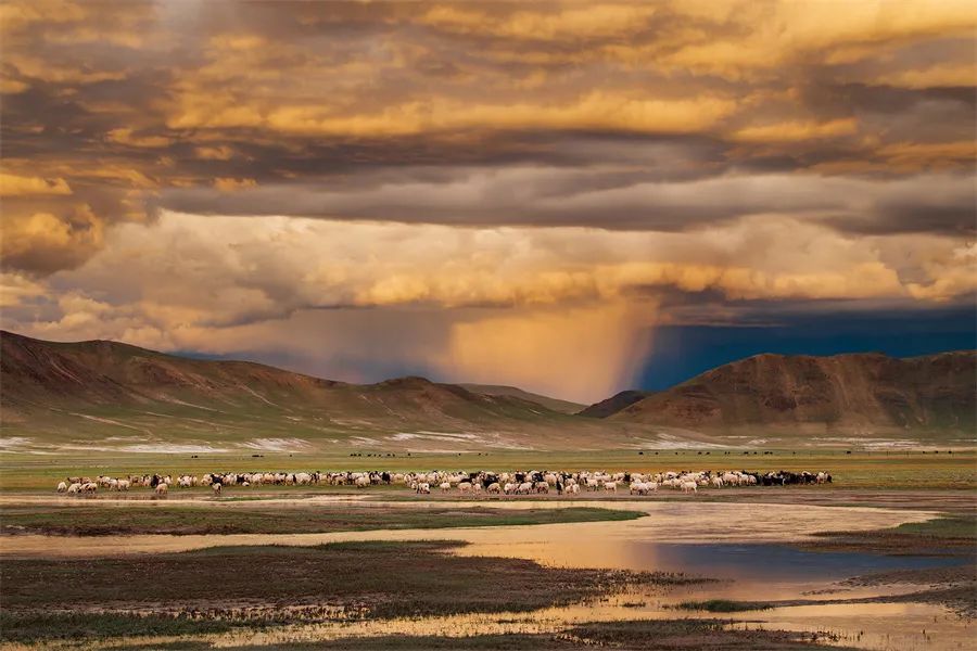 第三届世界风光维也纳国际摄影展获奖作品