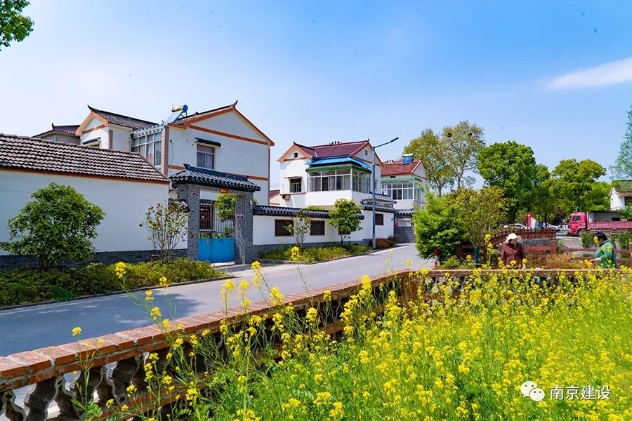 今年,南京将再添42个美丽宜居小城镇