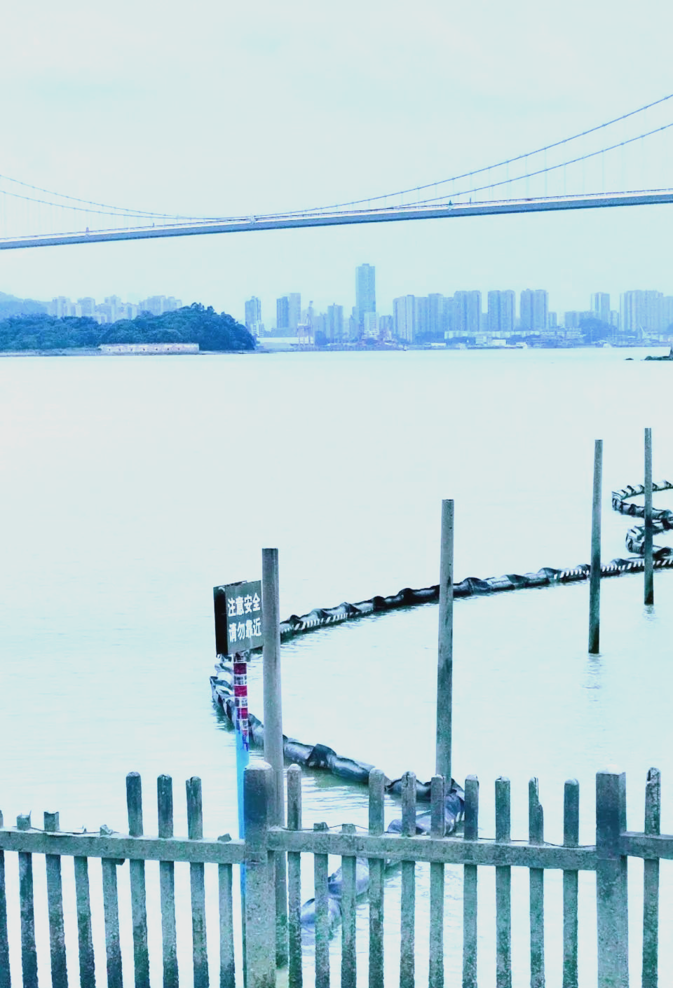 虎门沙滩开放 感受自然与安全的双重体验