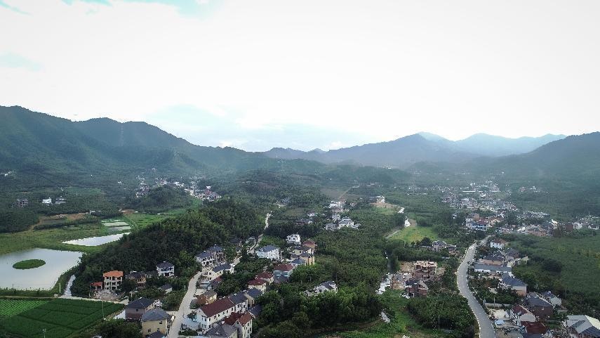 "路在林中,人在画中"这里是德清山民村