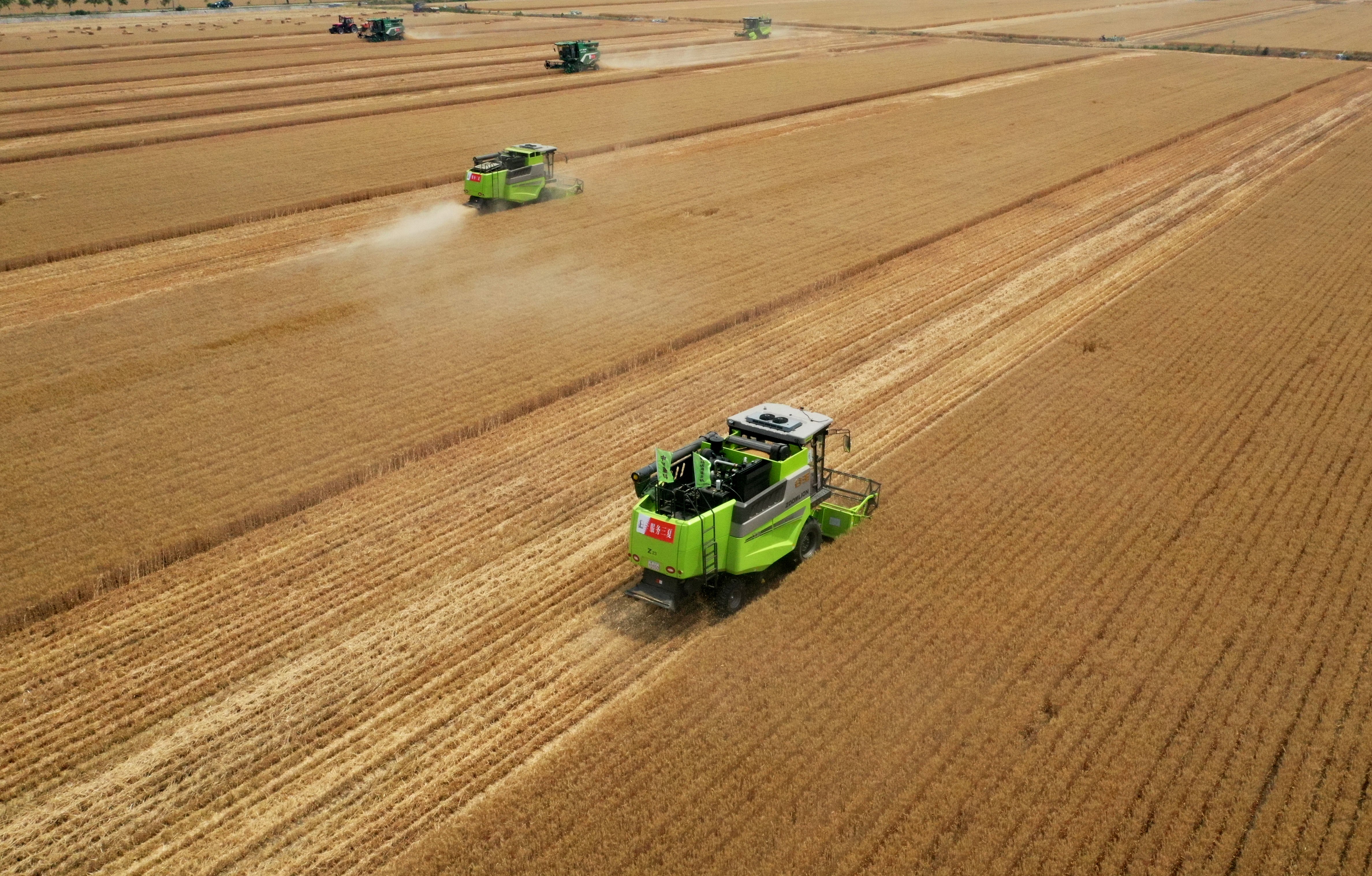 在河南省邓州市小杨营镇安众村,农机手操作机械设备收割小麦(无人机