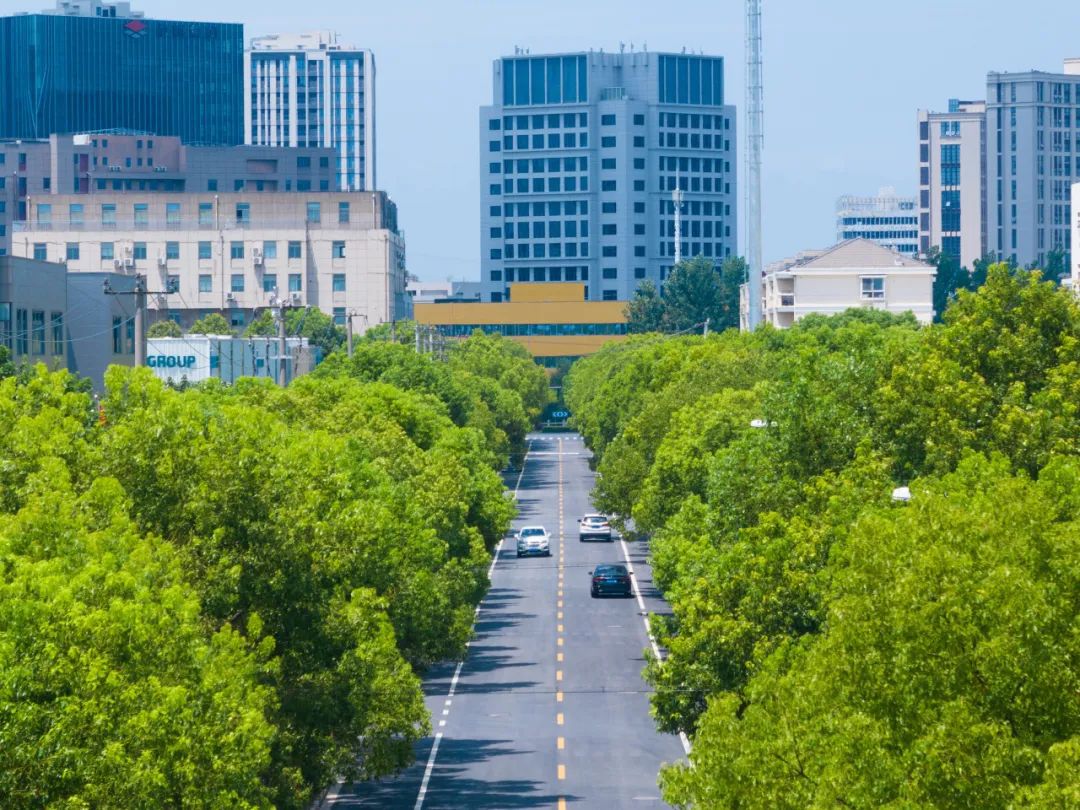 通向美好生活的"致富路""幸福路",香花桥街道持续推进"四好农村路"高