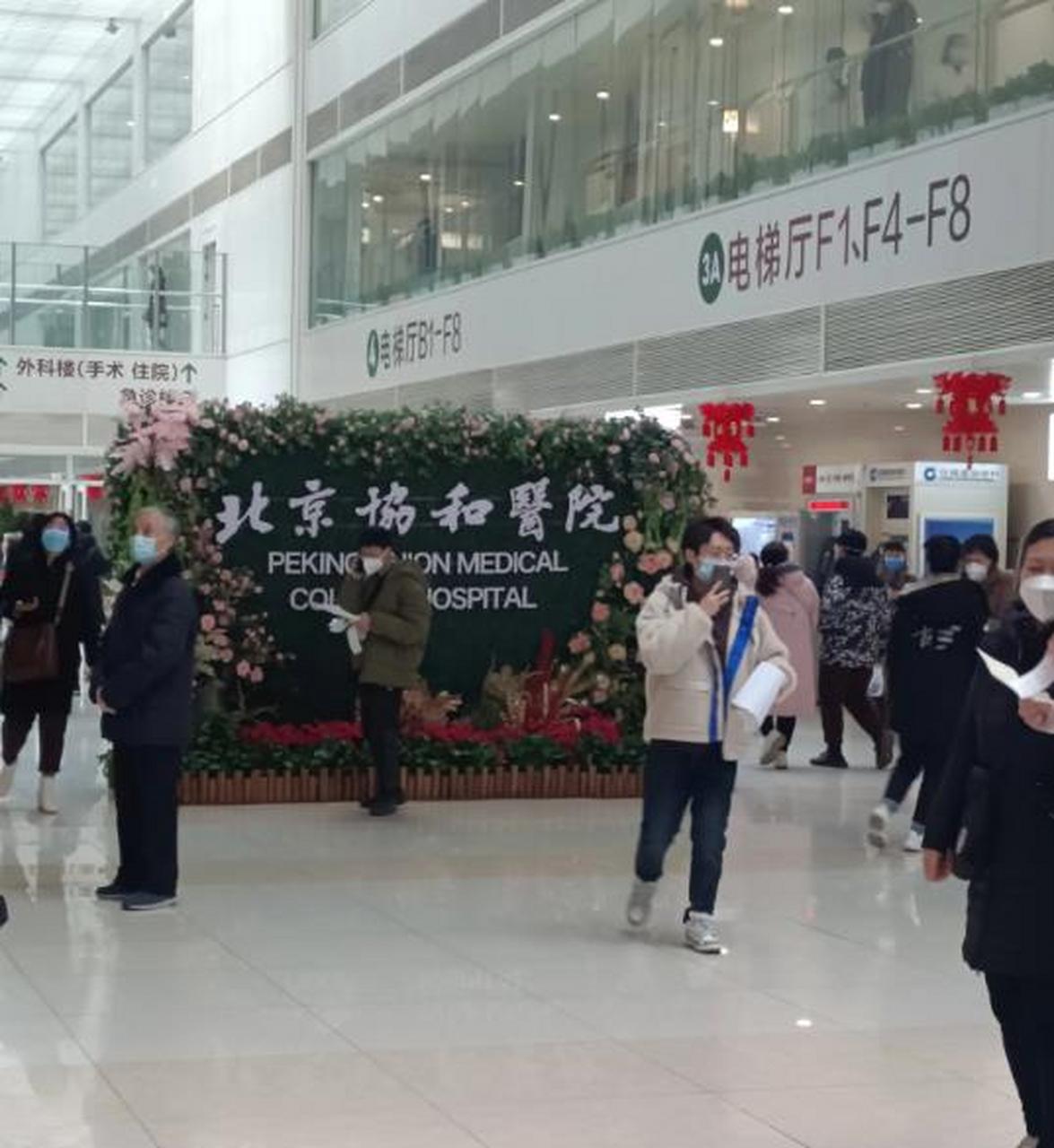关于北京阜外医院、跑腿挂号，省去晚上熬夜排队的辛苦权威手术专家的信息