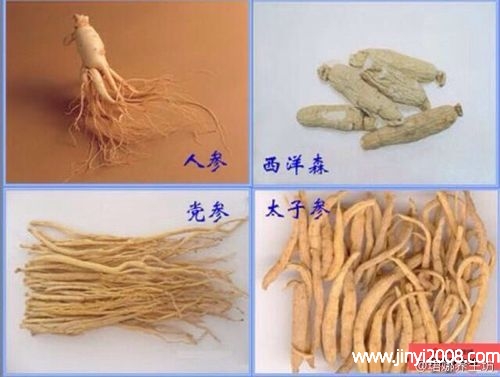 党参和人参哪个补血效果好(党参和人参哪个好)
