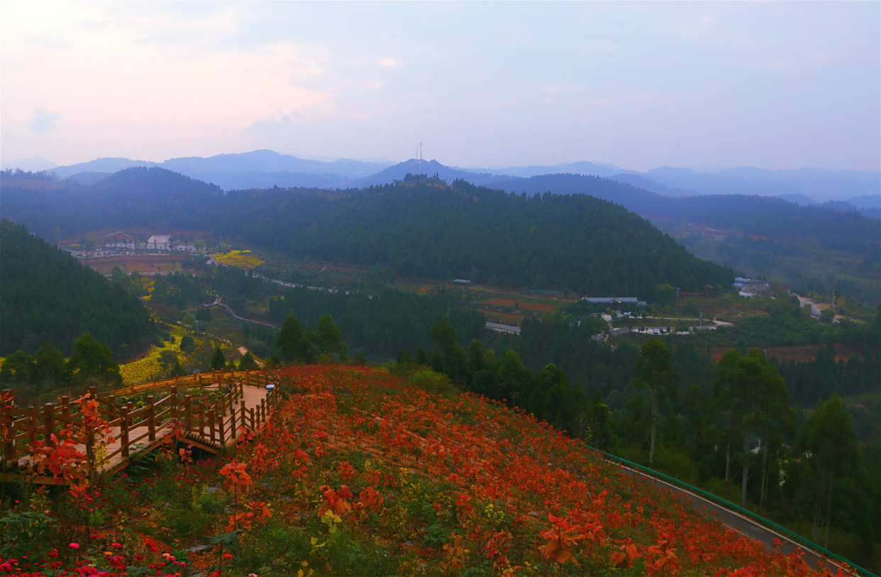 金秋时节 走进金堂玉皇山森林公园赏秋日美景