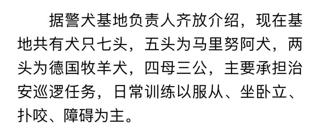 高大威猛的萌寵?這個假期,汪汪隊立大功!