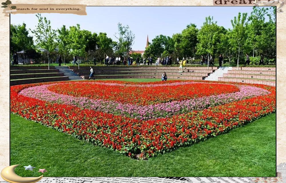 滁州花博园开园:新添市民赏花休闲佳地