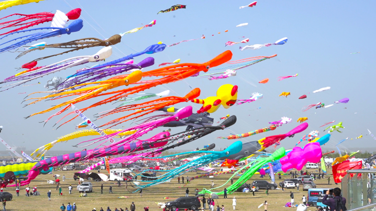 第41届潍坊国际风筝会招商公告