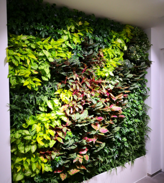 南京植物墙效果图