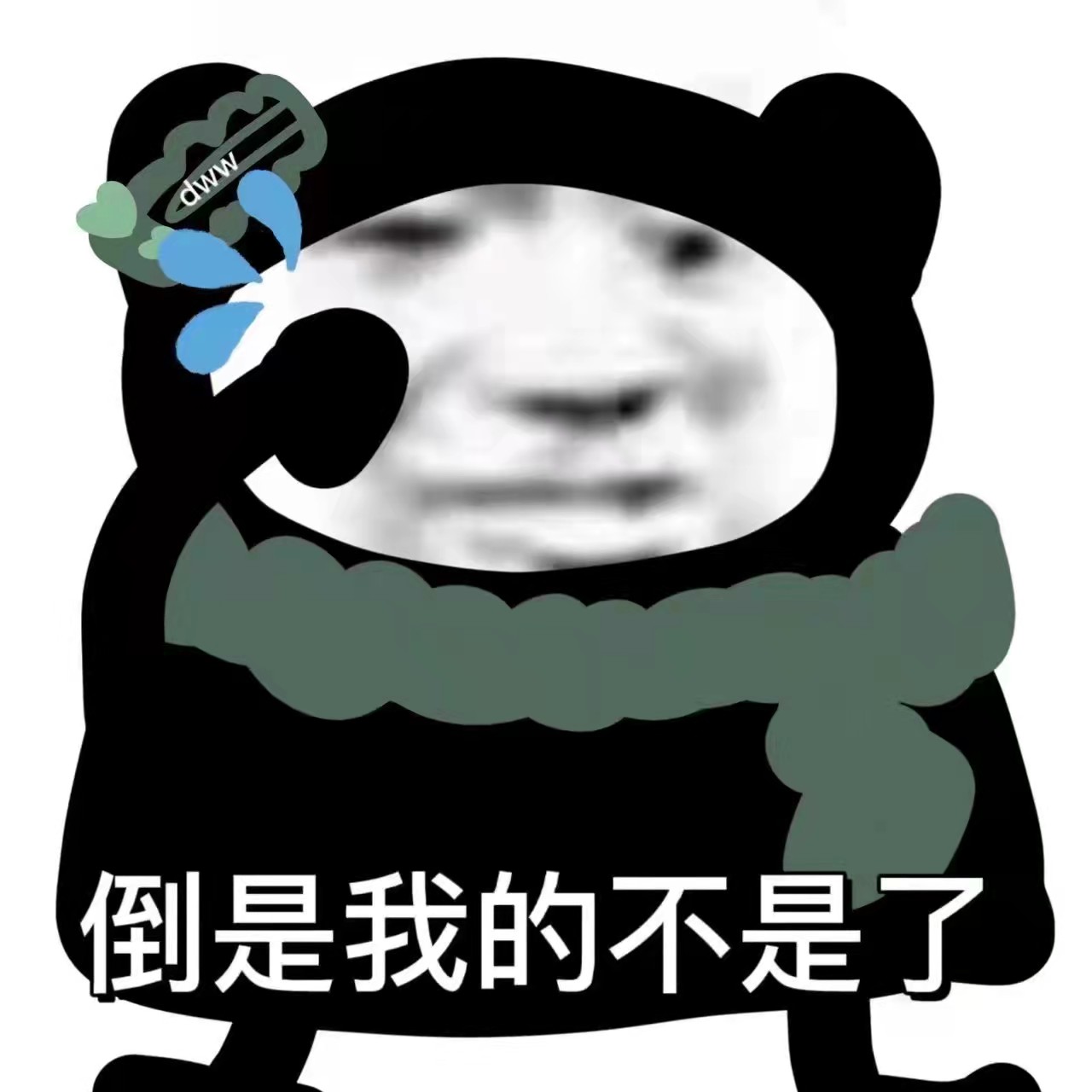 抖音小熊猫表情包图片