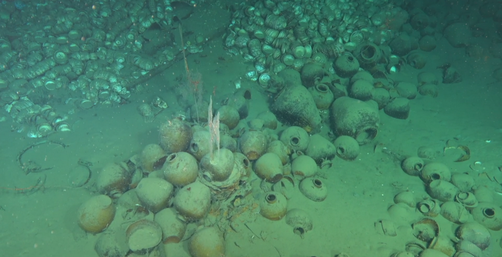 海底高清图片!我国南海发现两处古代沉船